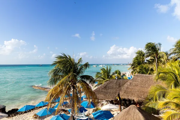 Palm-shaded beach on Isla Mujeres, Mexico