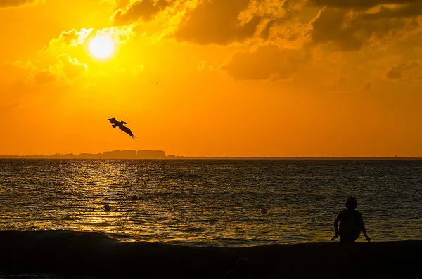 Golden sunset over the water at Isla Mujeres