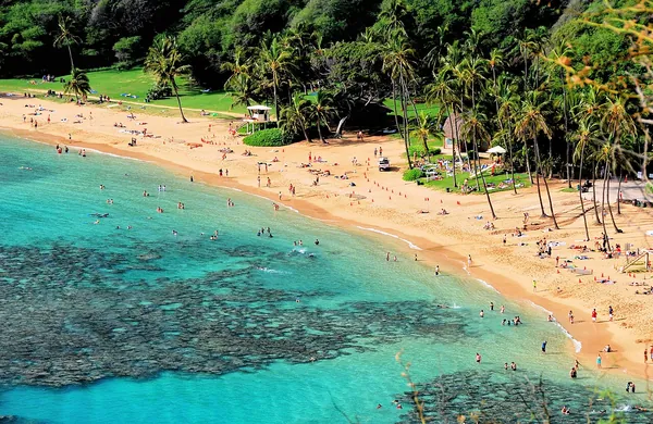 Turquoise water and reef of Hanauma Bay, Oahu