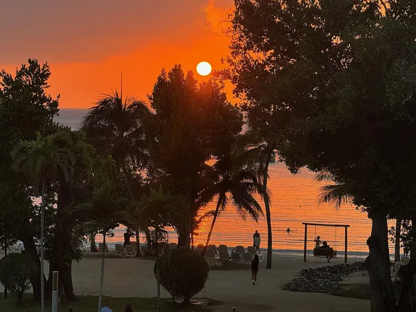 Orange sunset behind palm trees in Negril, Jamaica