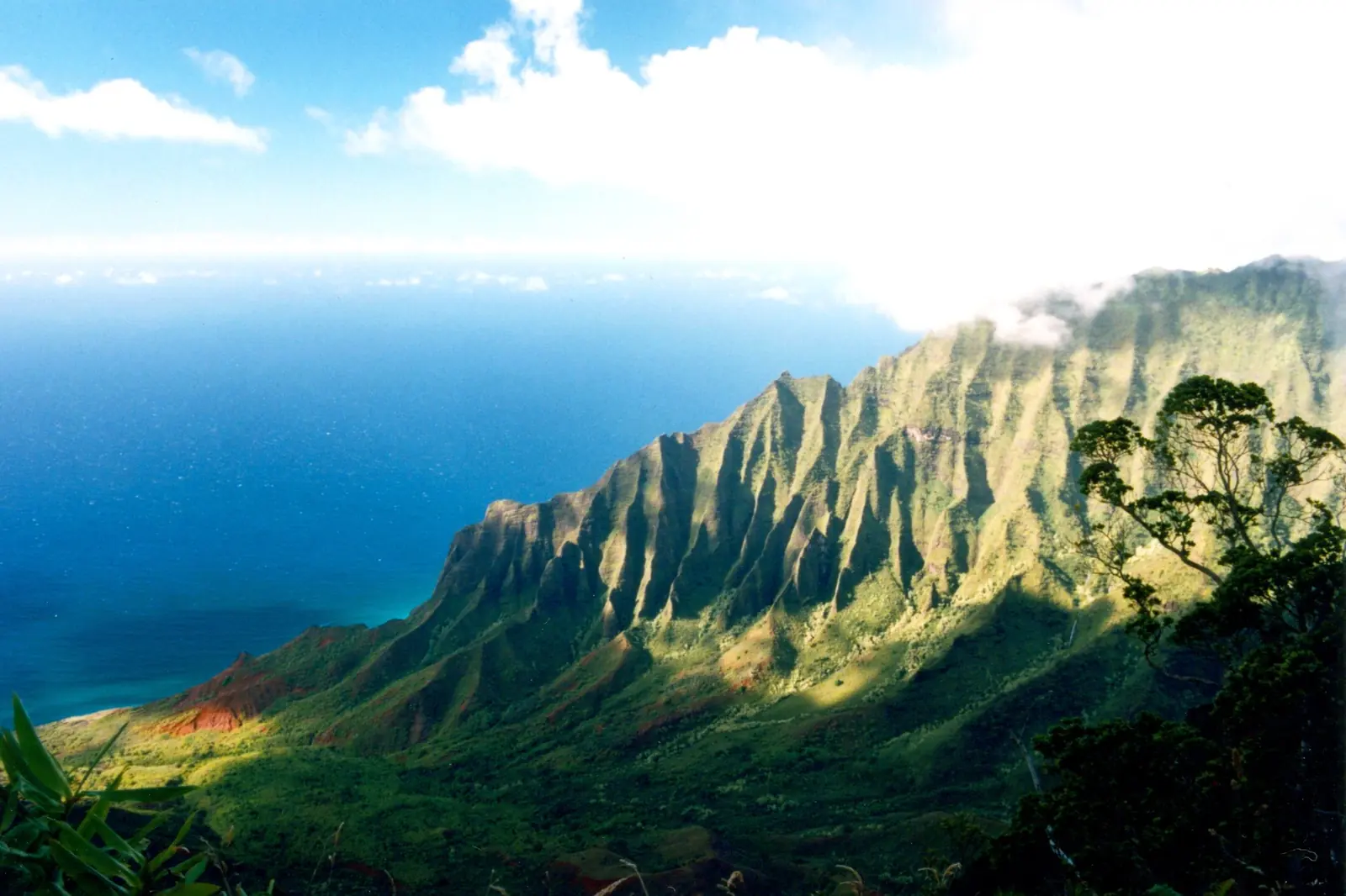 Green, fluted cliffs of the Na Pali Coast above the Pacific, Kauai, Hawaii